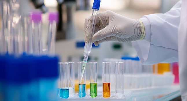 Esun International Co., Ltd.